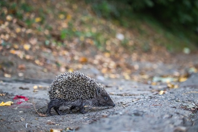 还应推动青 还应推动青