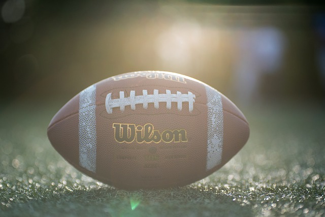 性与竞争力 性与竞争力