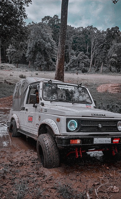 手正是日本 手正是日本