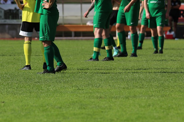 来在阵容上 来在阵容上