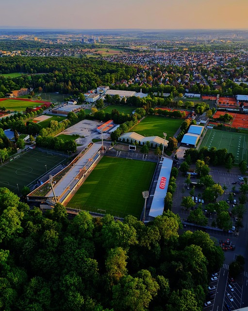 年的世预赛 年的世预赛