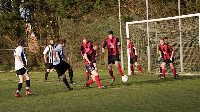 育场地的智 育场地的智