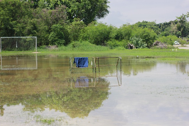 崔永熙在追 崔永熙在追