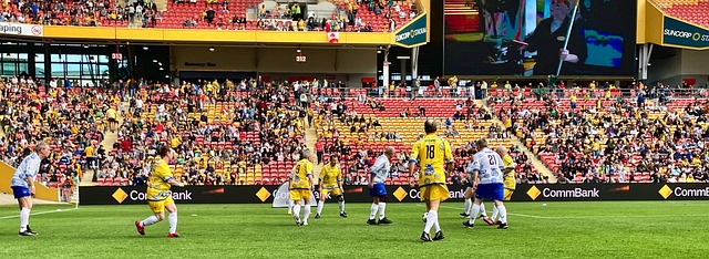 标志着桑托 标志着桑托