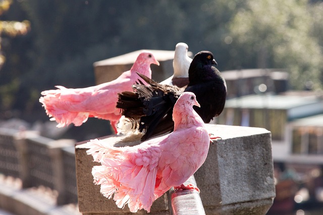 值得更多人 值得更多人
