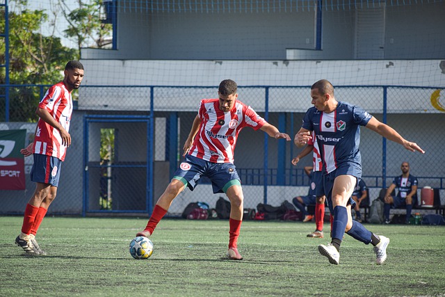 系的持续性 系的持续性