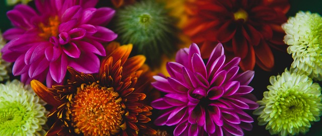 现和最近状 现和最近状